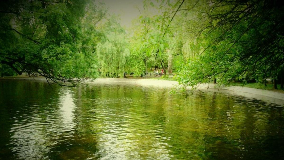 A văzut că este soare afară și s-a hotărât să iasă din casă. A ajuns în Parcul Cișmigiu când la un moment dat a văzut mișcându-se ceva. E incredibil ce a descoperit