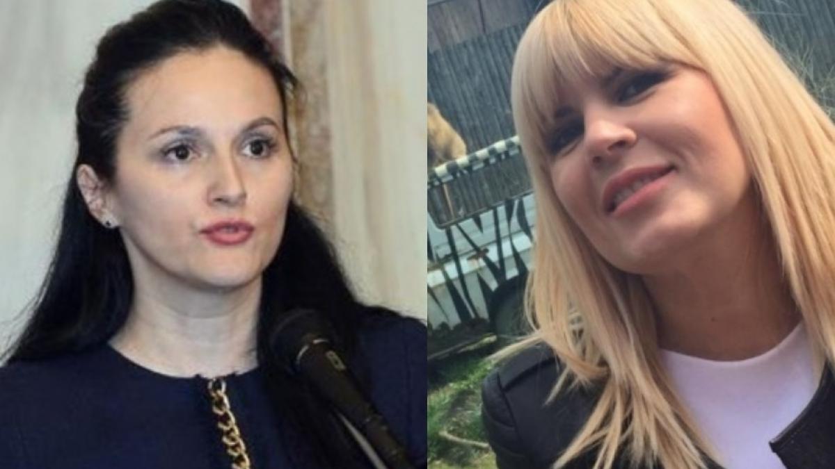 Alina Bica va urma exemplul Elenei Udrea? Avocata Laura Vicol: „Și eu aș face acest lucru”