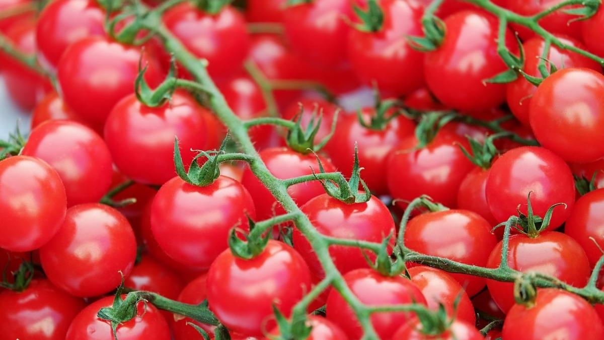 Cum sunt vopsite, în doar câteva ore, roşiile care ajung în supermarket