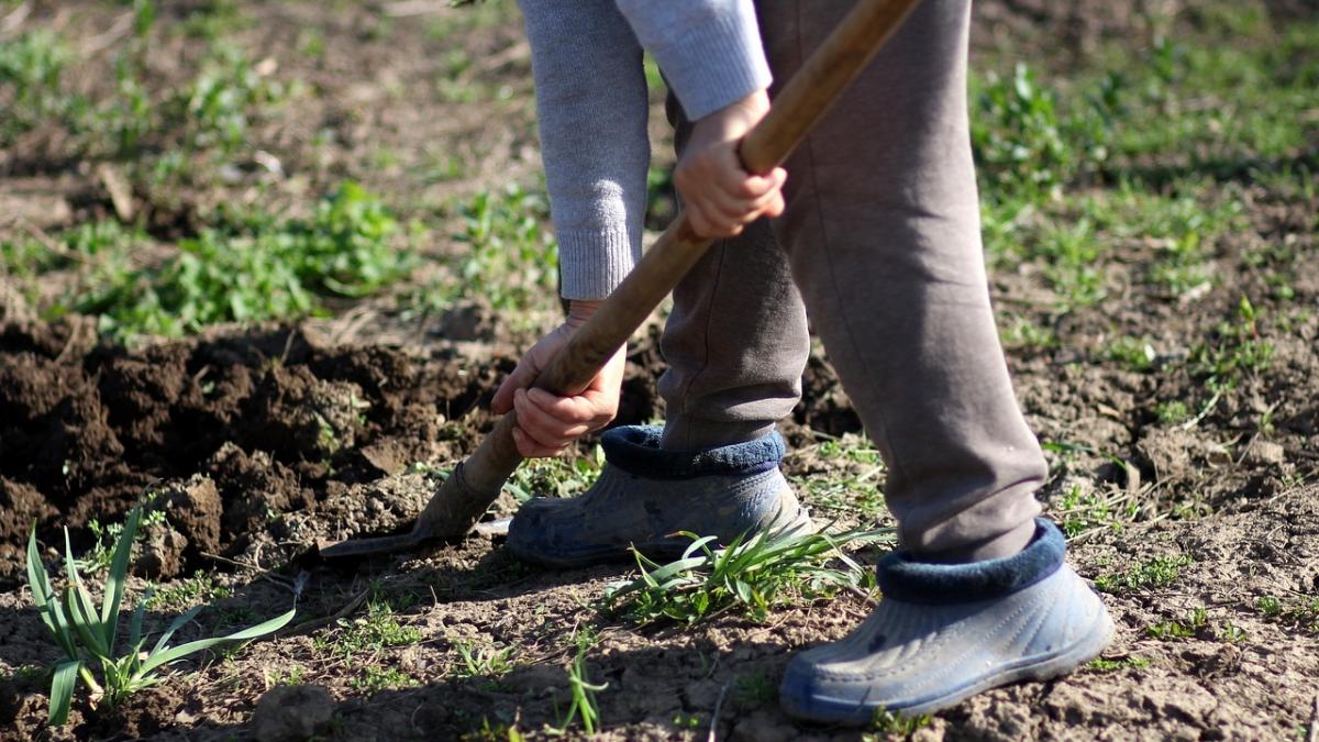 Descoperire șocantă într-un parc din Vaslui! Oseminte umane, îngropate în centrul orașului. „Erau într-un altfel de pământ, mai negru, faţă de cel din jur”