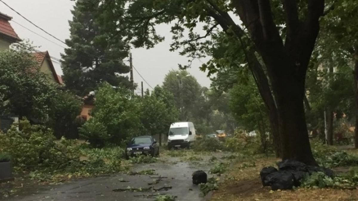 Atenționare meteo! Cod galben de vânt puternic în mai multe județe din țară