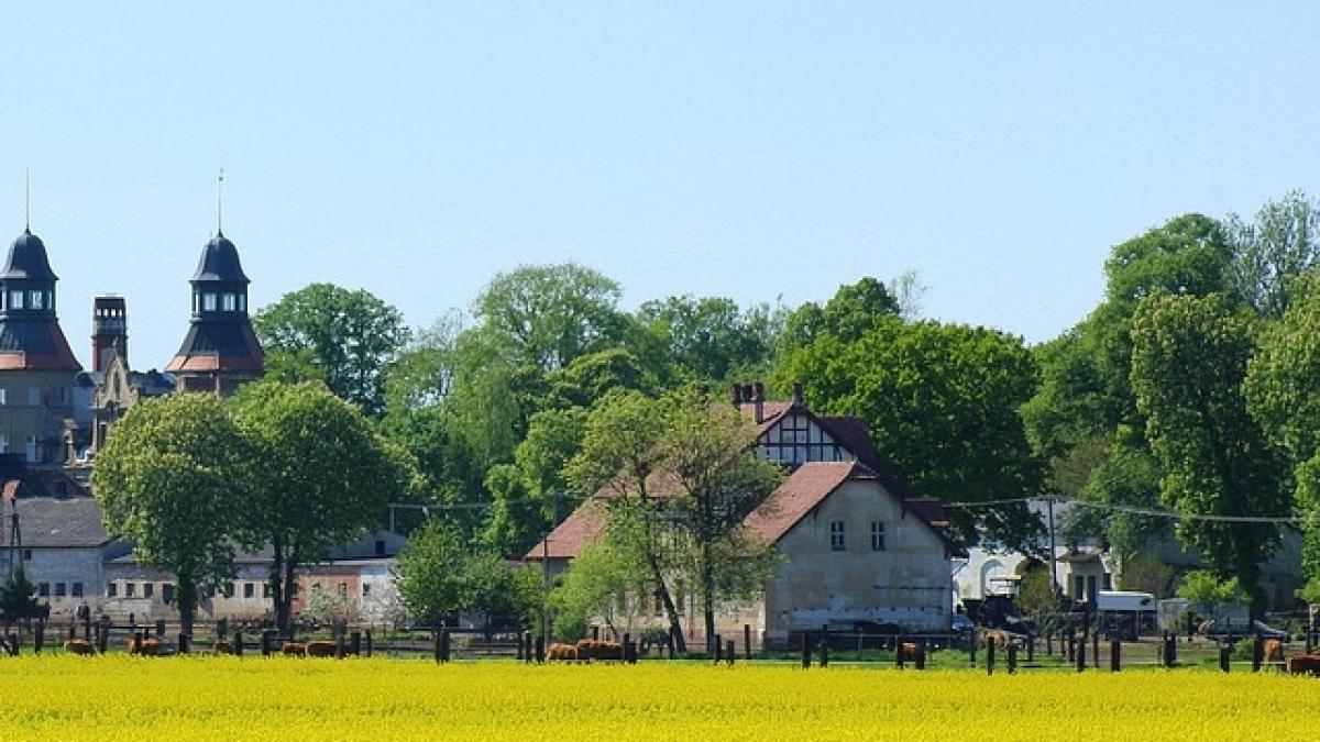 Locul din România unde toţi oamenii au acelaşi nume