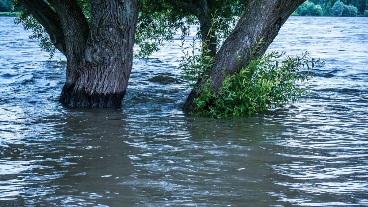 Hidrologii avertizează! Cod galben de inundaţii pe râuri mai multe judeţe