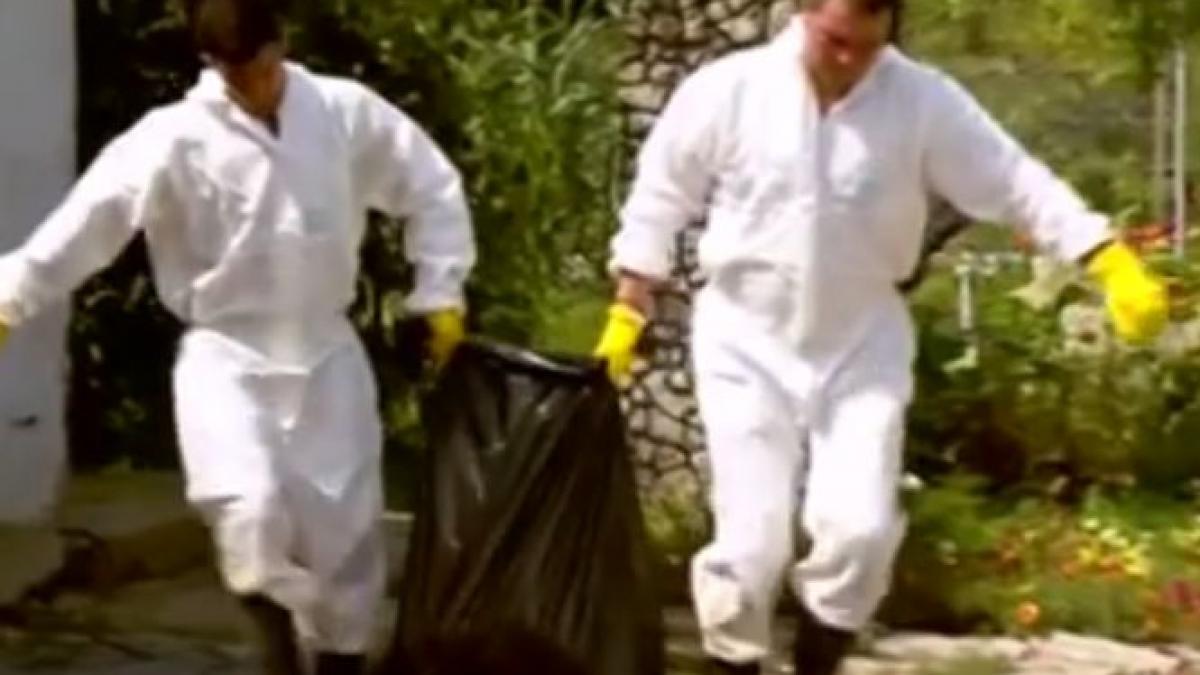 Care este situaţia focarelor de pestă porcină cu trei luni înainte de Crăciun