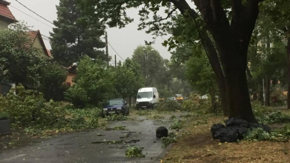 Alertă meteo. Cod galben de vânt puternic şi ploi în şase judeţe