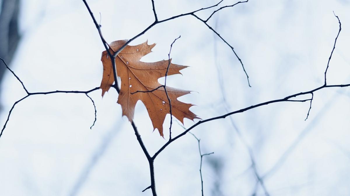 Meteorologii au actualizat prognoza. Temperaturile scad dramatic și cad primii fulgi