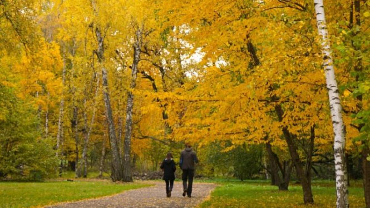 Prognoza meteo! Temperaturi neobişnuit de mari în weekend