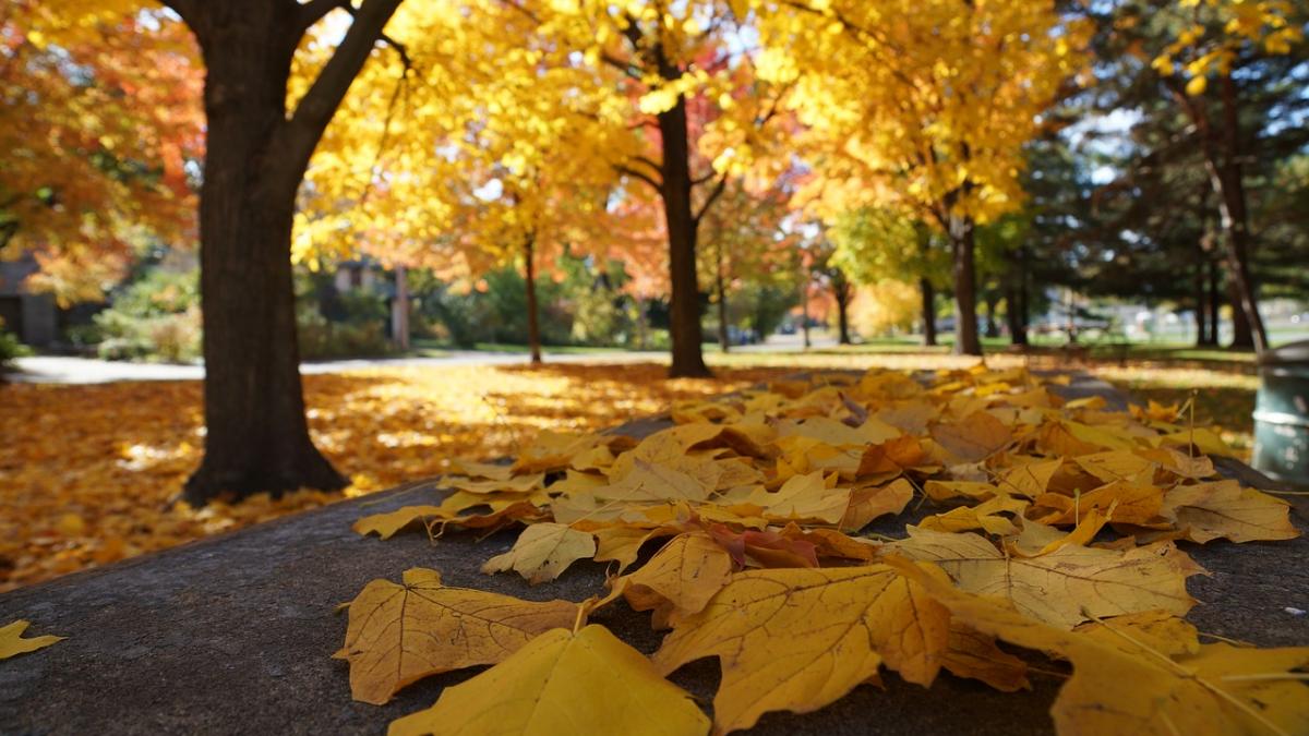 Vremea se va încălzi în aproape toată ţara. Prognoza meteo pentru weekend