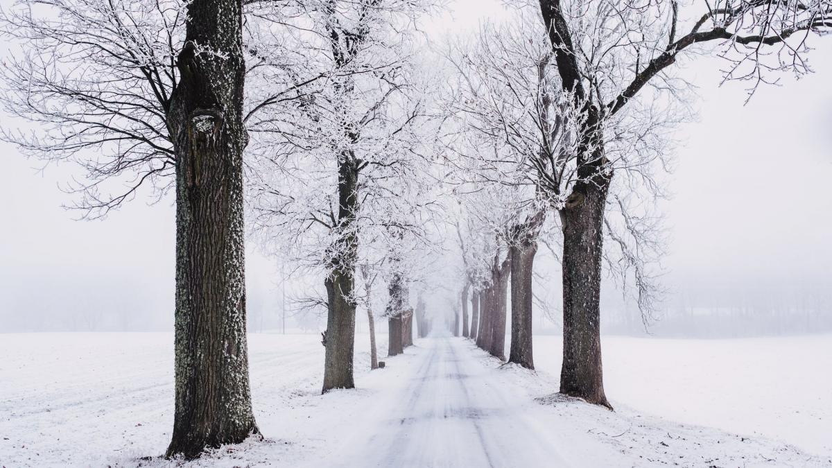 Prognoza meteo până pe 13 ianuarie. Temperaturile scad în toată țara