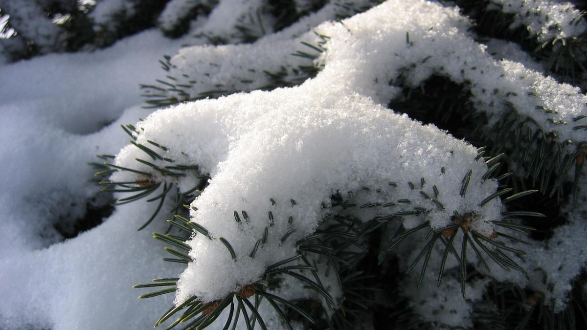 România, cuprinsă de ger. A fost stabilit un nou record de temperaturi scăzute