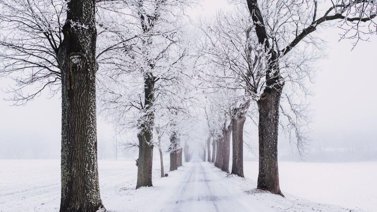 VREMEA. Prognoza METEO pentru 28, 29, 30 și 31 ianuarie 2019