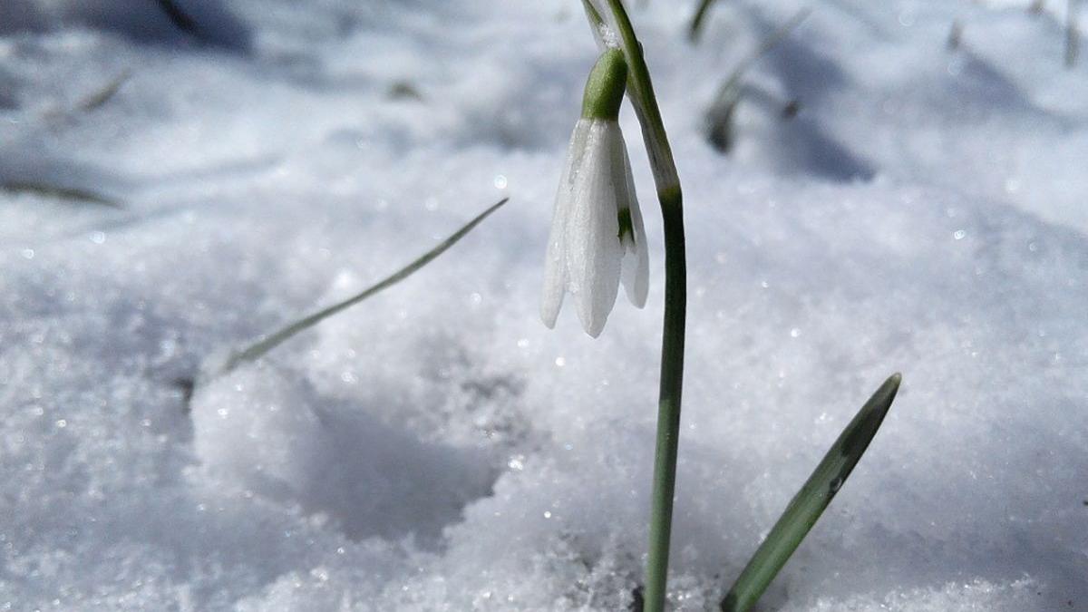 VREMEA. Prognoza meteo în weekendul 9-10 februarie. De când se încălzește vremea