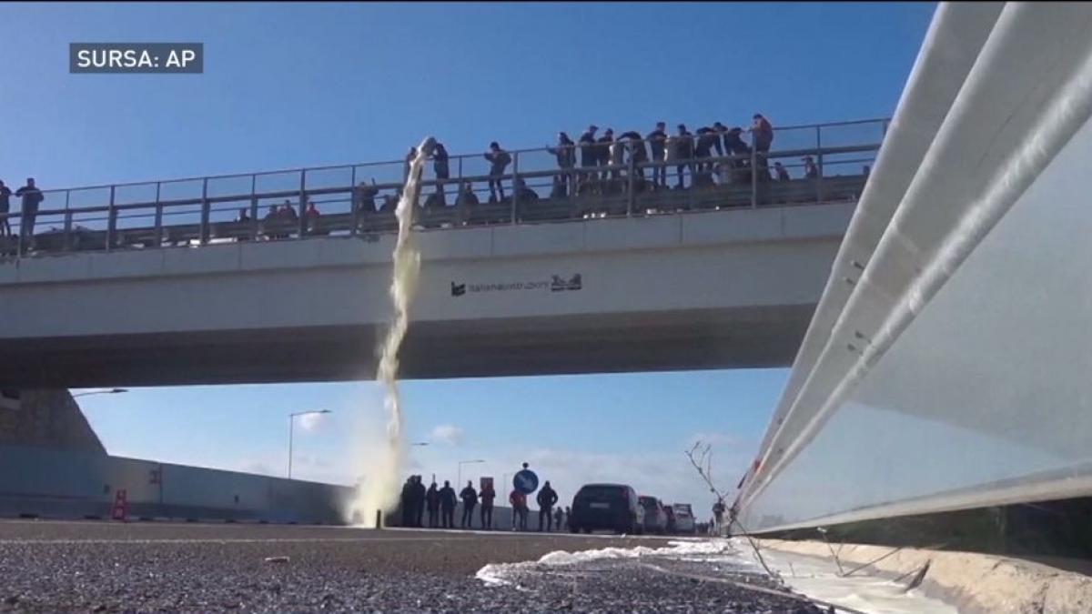 Producătorii de lapte din Italia protestează: Laptele nu a mai costat 50 de cenţi din anii '70!