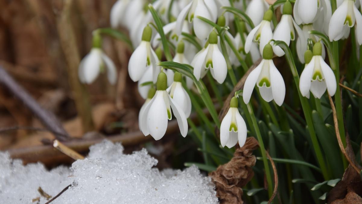 VREMEA. Prognoză meteo pentru săptămâna 4-11 martie. Meteorologii anunță dacă vom scăpa de ninsoare