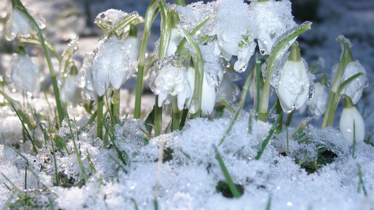 VREMEA. Prognoză pentru 8 martie. Un val de aer polar va lovi România chiar de Ziua Femeii