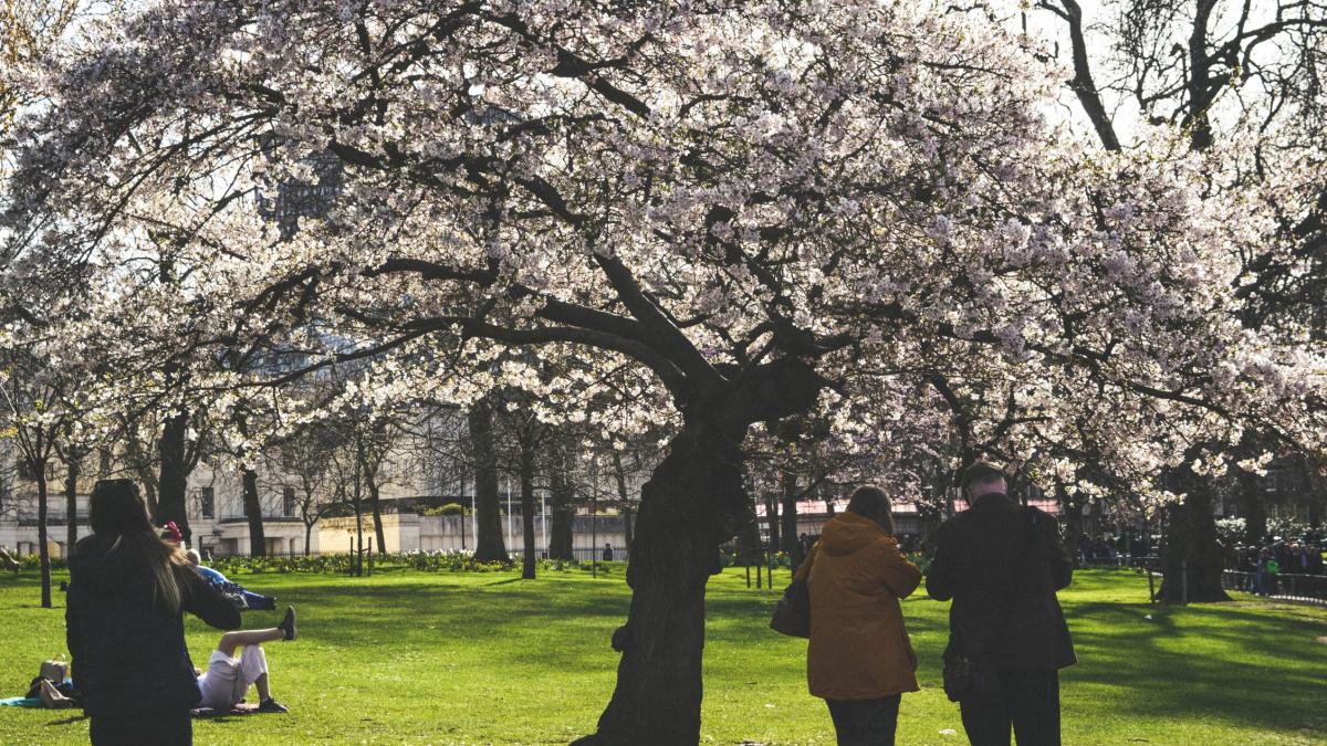 VREMEA. Prognoza meteo de Paște și 1 Mai s-a schimbat. Vor fi temperaturi și de -6 grade