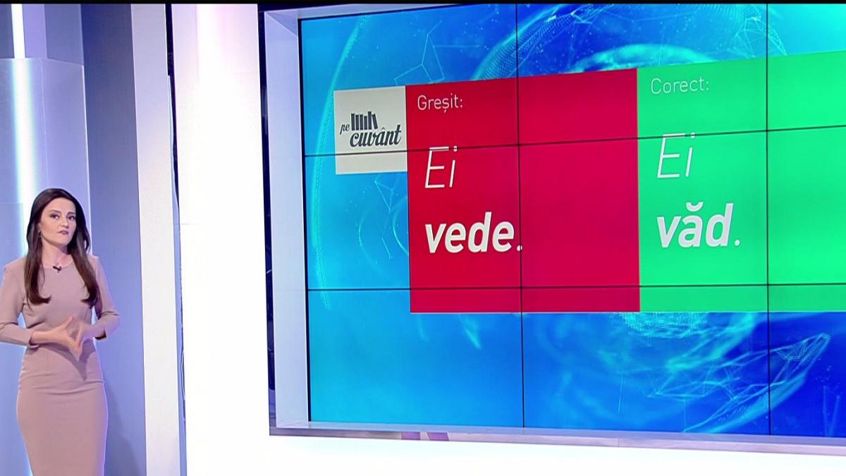 Pe cuvânt, cu Ana Iorga. Acordul între subiect și predicat