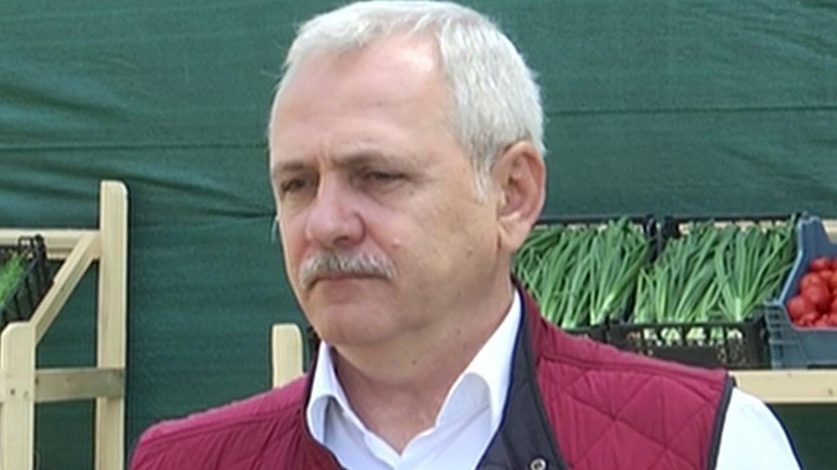 Liviu Dragnea, proiect de lege pentru interzicerea exportului de bușteni: Vrem ca plusvaloarea să rămână în România