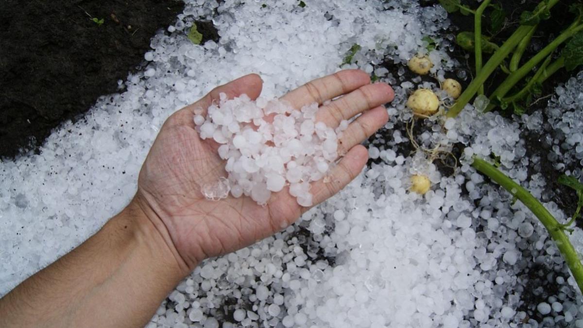 Grindină puternică, în mai multe județe din țară. Bucăţile de gheaţă au căzut din cer peste grădini, drumuri şi maşini