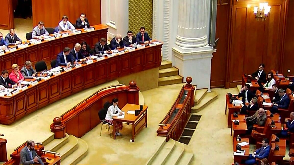 Gest șocant în Plenul Parlamentului, făcut de un deputat PNL