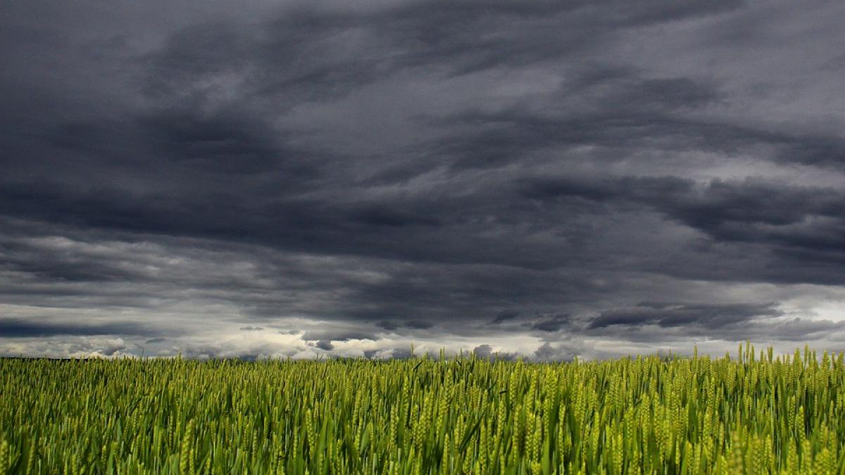 Vreme extremă peste România. Furtuni puternice şi temperaturi de aproape 35 de grade Celsius