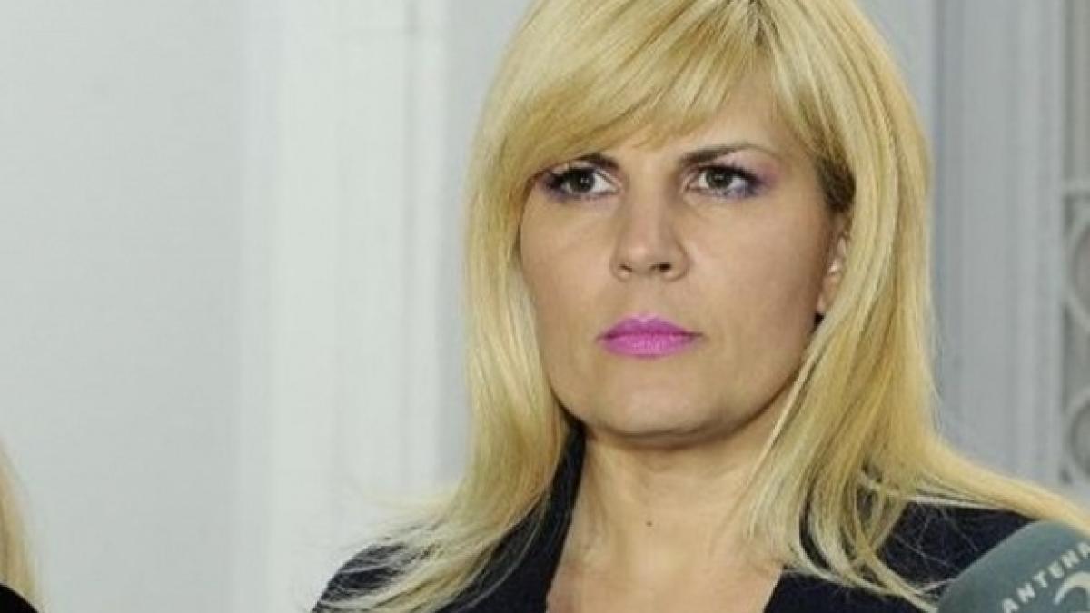 Elena Udrea a ajuns în România