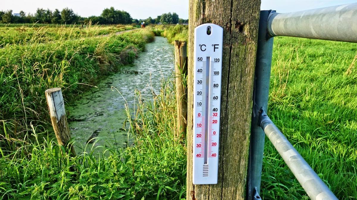 Vremea In Luna August Va Fi Mai Rece Ca In Iulie