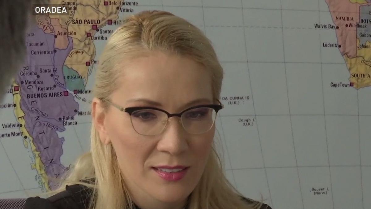 Ramona Ioana Bruynseels, despre nevoia urgentă de o strategie națională de export realistă