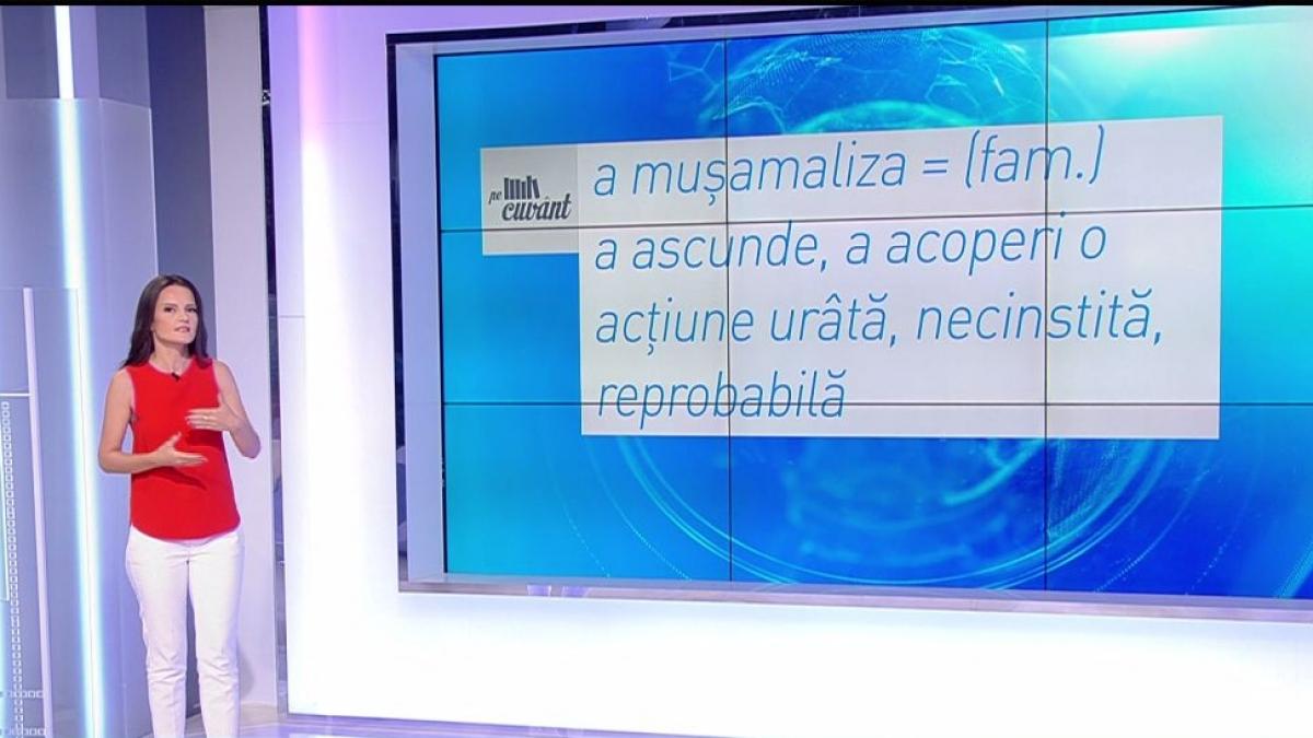 Pe cuvânt, cu Ana Iorga. Totul despre provenienţa verbului “a mușamaliza”