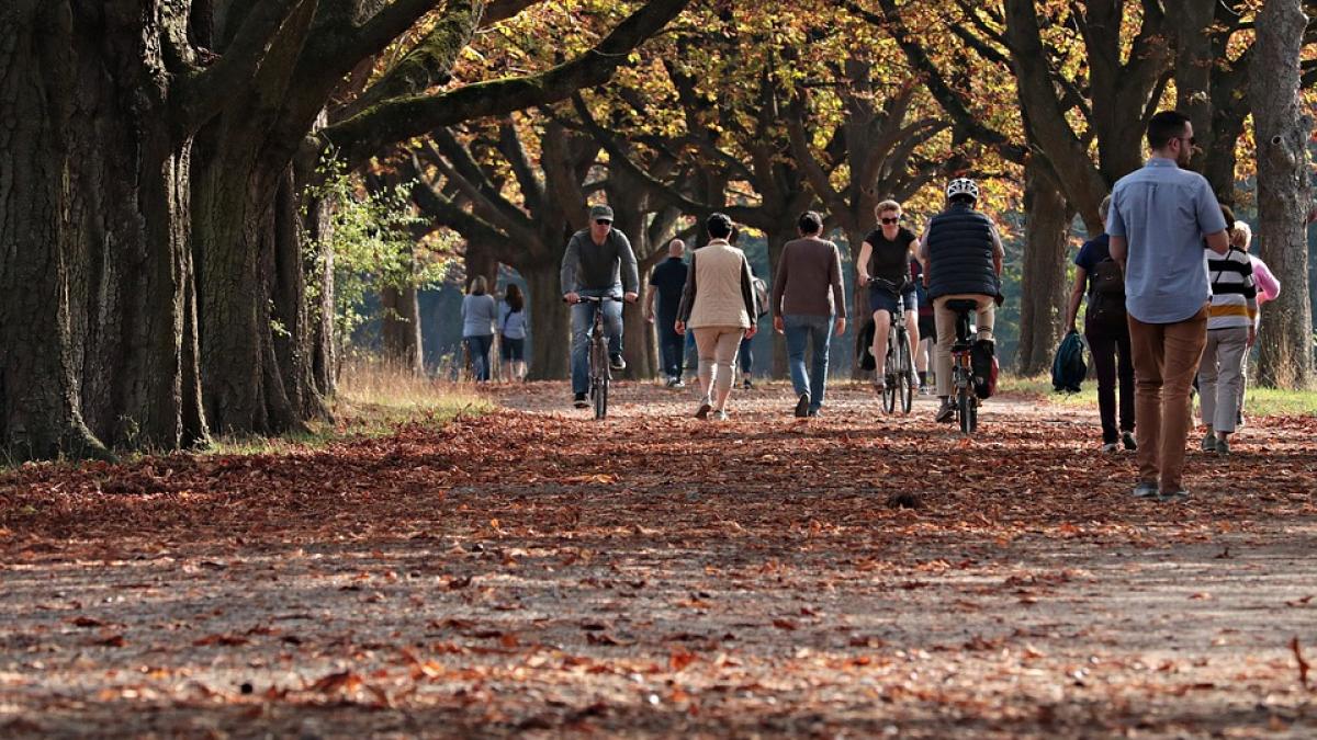 Vremea. Temperaturi în scădere, în nordul țării