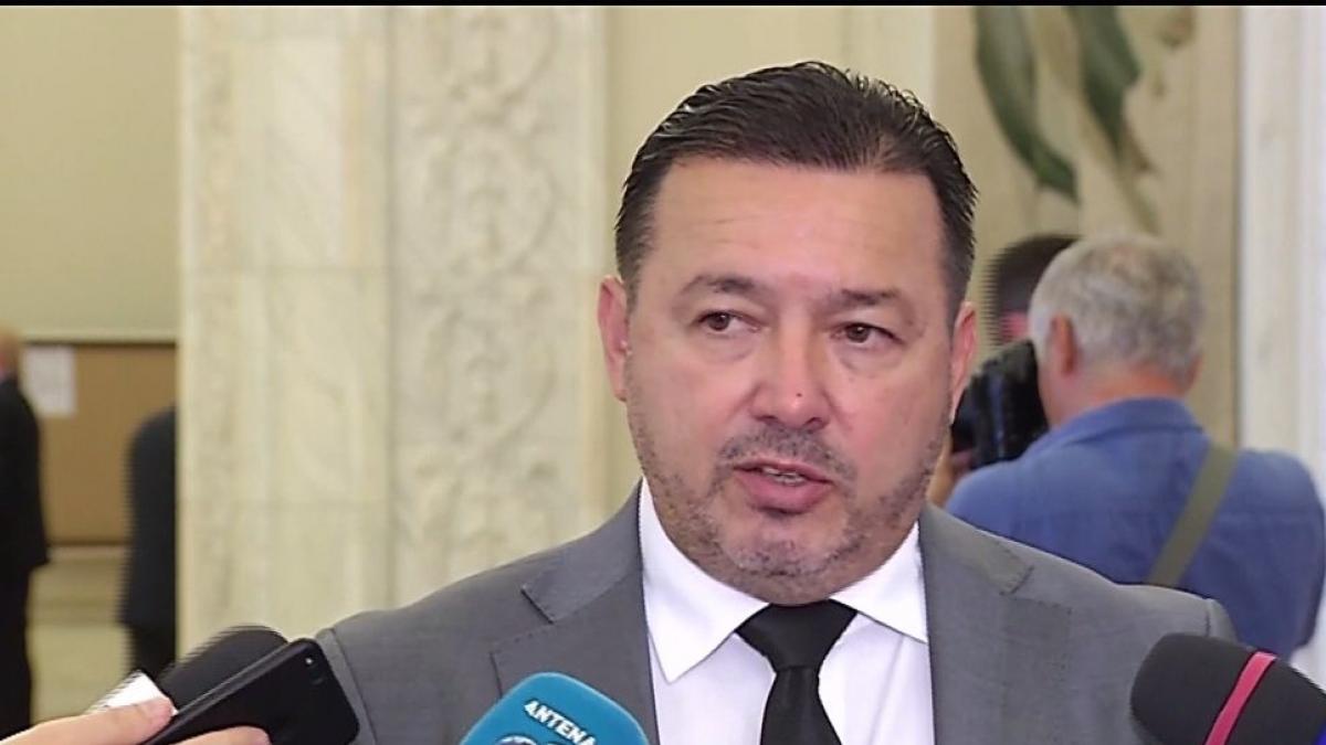 Cătălin Rădulescu, deputat PSD, despre Ana Birchall: ''Ne-a adus prejudicii de imagine extraordinare!''