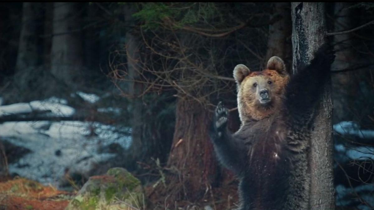 Premiera ''White Carpathia'' are loc azi. Imagini spectaculoase, în exclusivitate - VIDEO