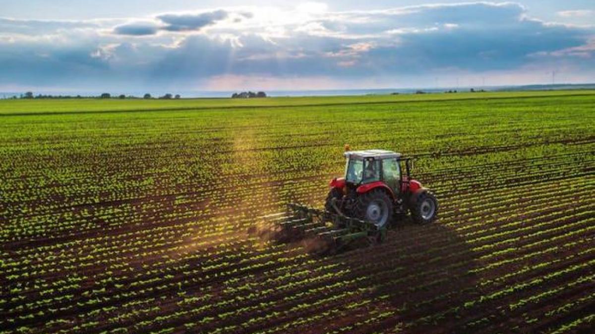 Agricool. Plantele modificate genetic, viitorul în agricultura UE