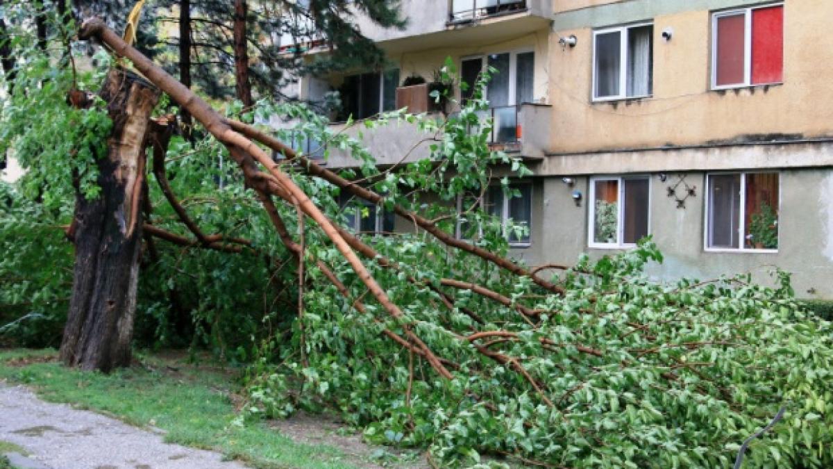 ANM, nouă avertizare meteo. Cod galben de vânt puternic în mai multe zone din țară