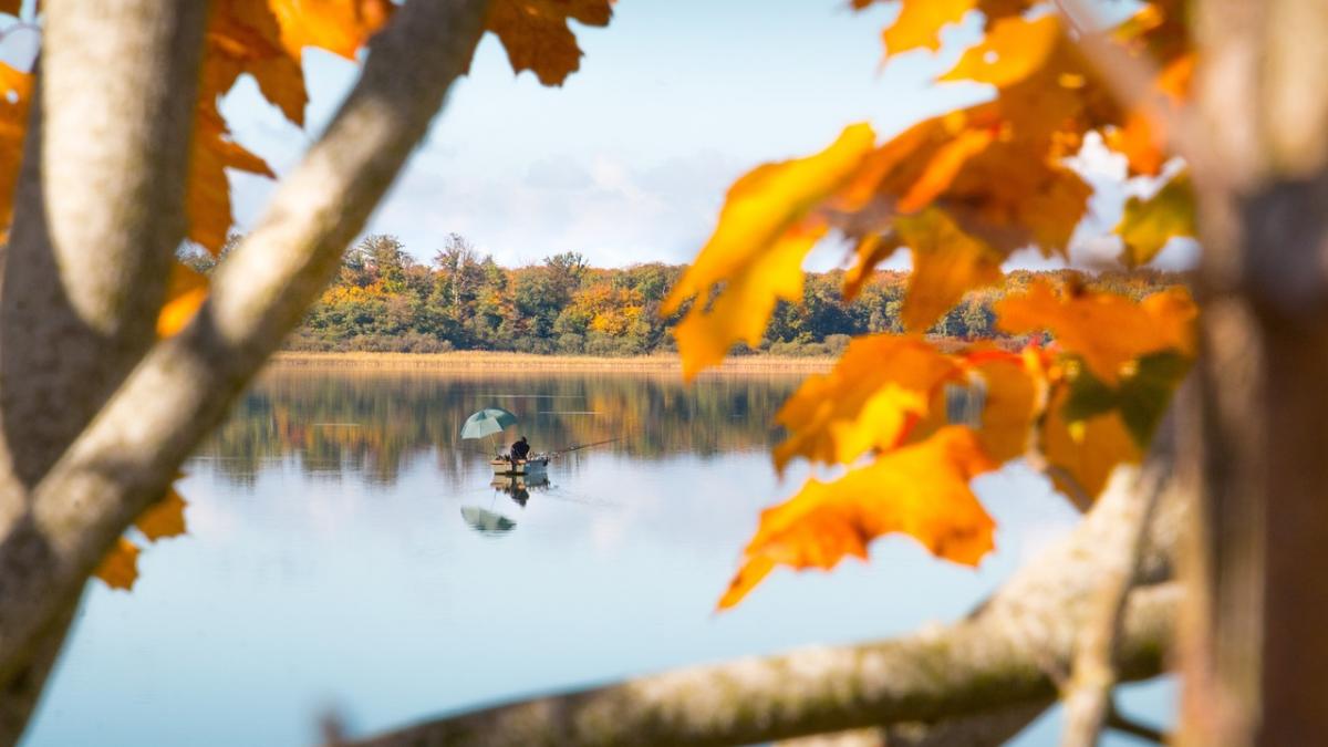 Un val de aer cald străbate România. Vremea va fi frumoasă şi în continuare deosebit de caldă