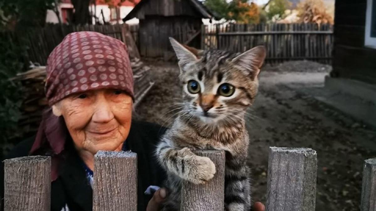 Fotografia unei bunicuţe din Bucovina a devenit virală. A înduioşat mii de oameni!