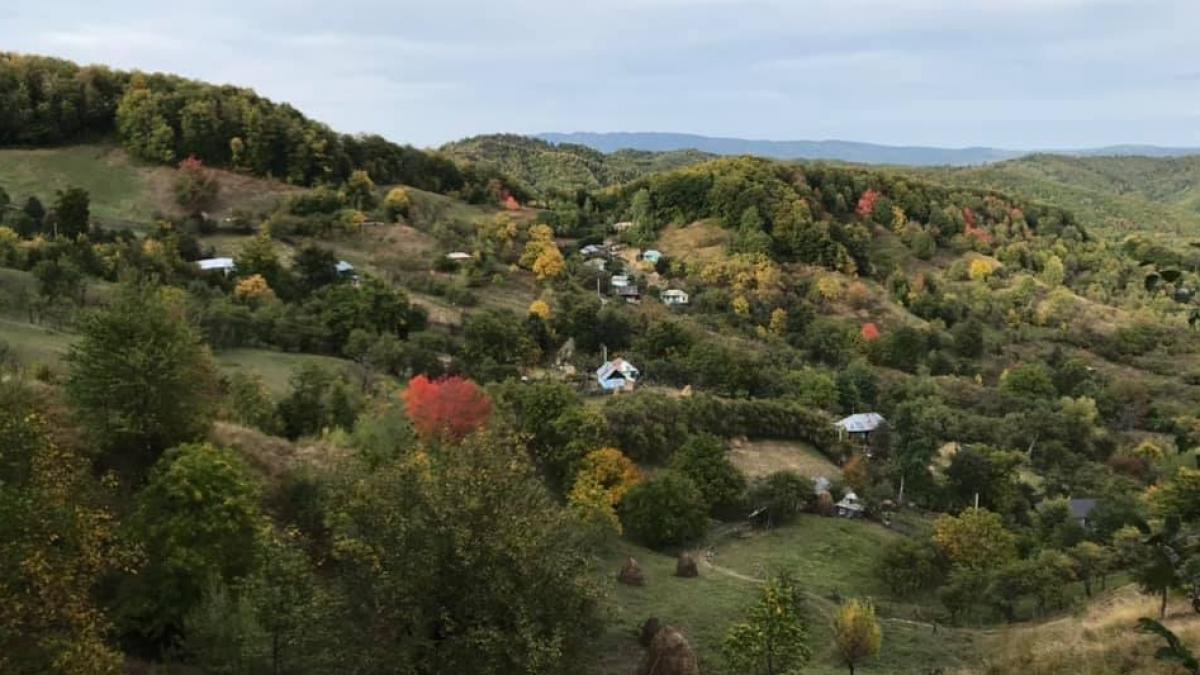 Locul din România în care mai trăiesc doar opt familii. Adrian are nouă ani și merge prin pădure ca să ajungă la școală în satul vecin.Tatăl îl așteaptă în vârful dealului de frica animalelor - FOTO