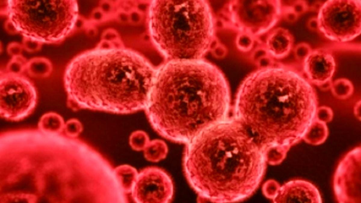 Un virus periculos și extrem de contagios face tot mai multe victime în România