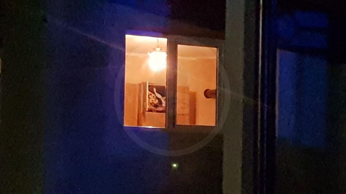 Vindeau plapume și au intrat în casa femeilor ca să se târguiască. Apoi ceva neașteptat s-a petrecut. Adevărul grotesc al unei nopți din Satu Mare a ieșit acum la iveală. Ce a găsit soțul uneia sub o plapumă