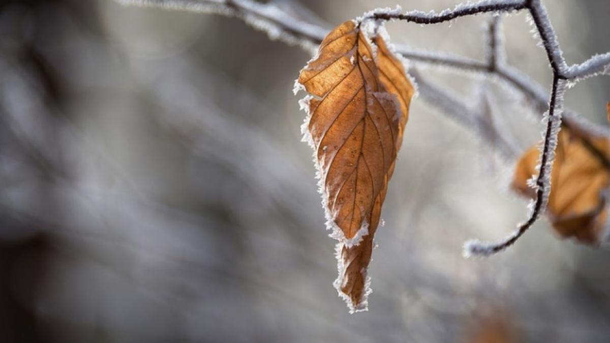 VREMEA de Revelion în București. Temperaturi în scădere în noaptea de marţi spre miercuri