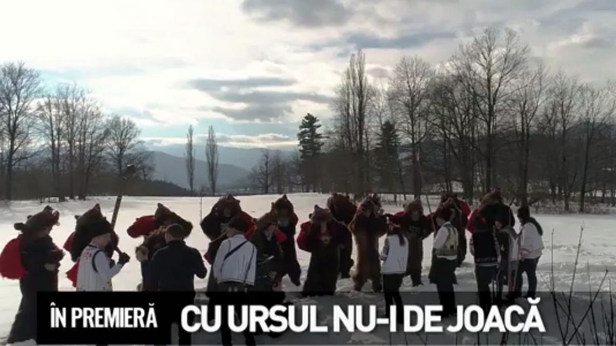 În premieră. Cu ursul nu-i de joacă