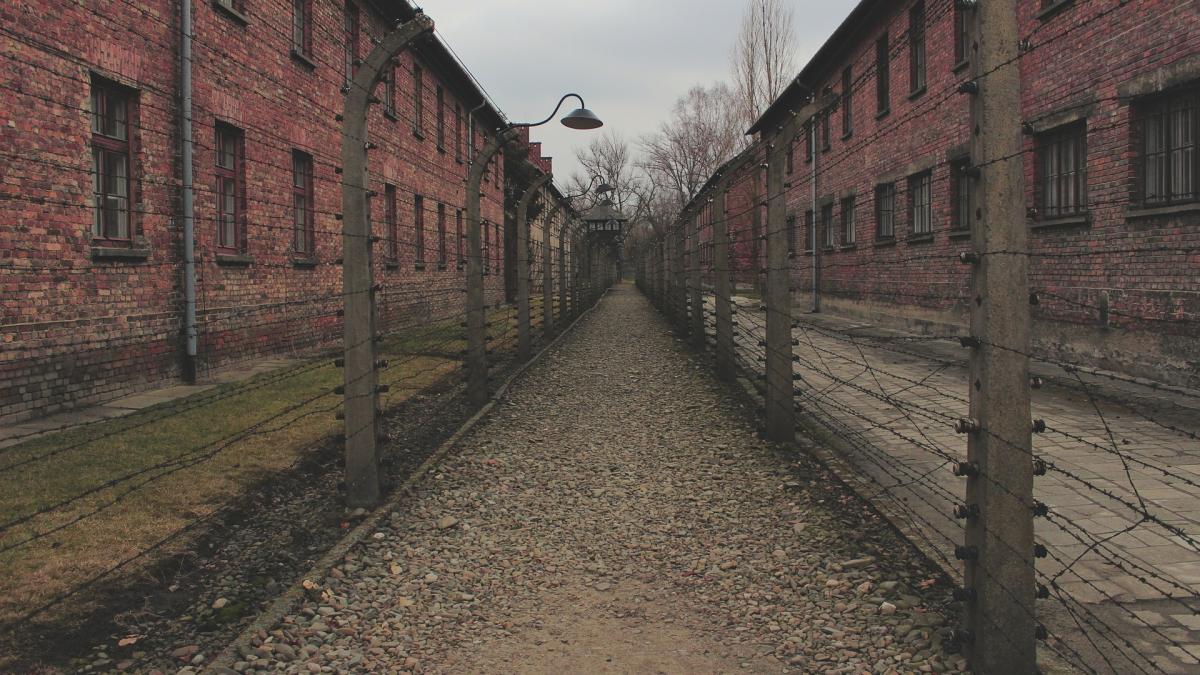 Doi veri din România, despărțiți în timpul Holocaustului, reuniți după 75 de ani: „E așa bine să te văd după atâția ani” (VIDEO)