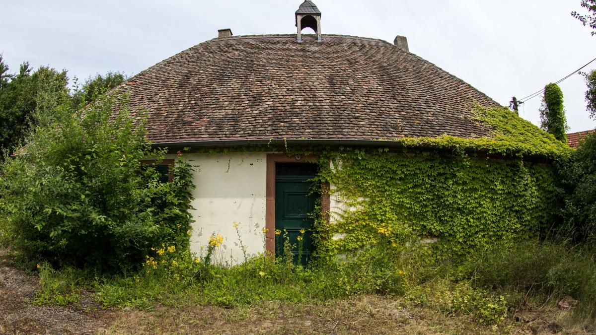 Oamenii au auzit țipete venind dinspre o casă, așa că au decis să intre. Au încremenit. Era legată de pat (FOTO)