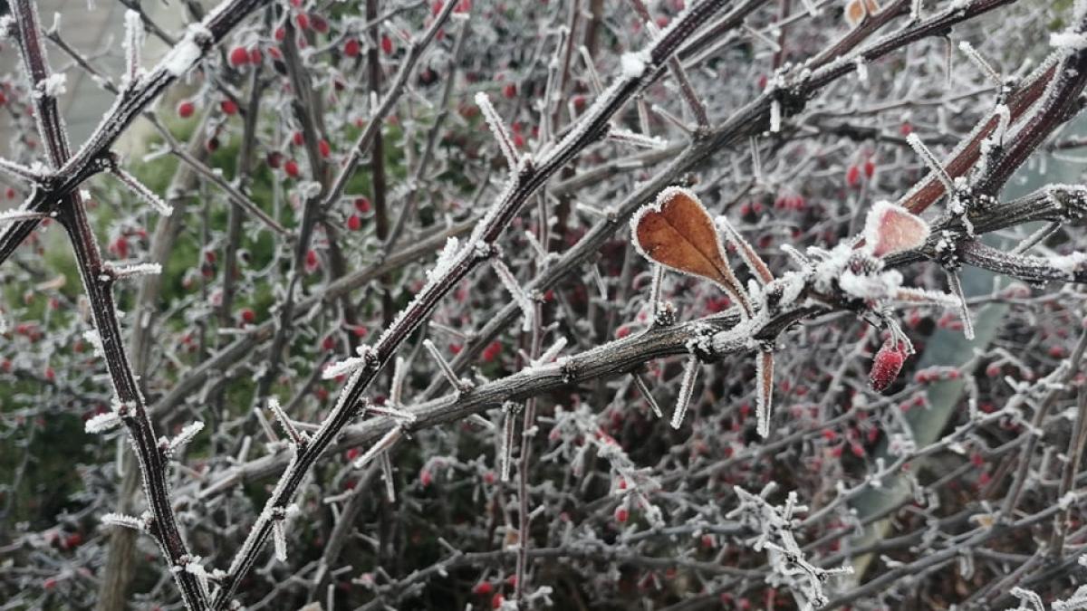 VREMEA. Prognoza meteo pentru 20 ianuarie. Temperaturi și de -12 grade 