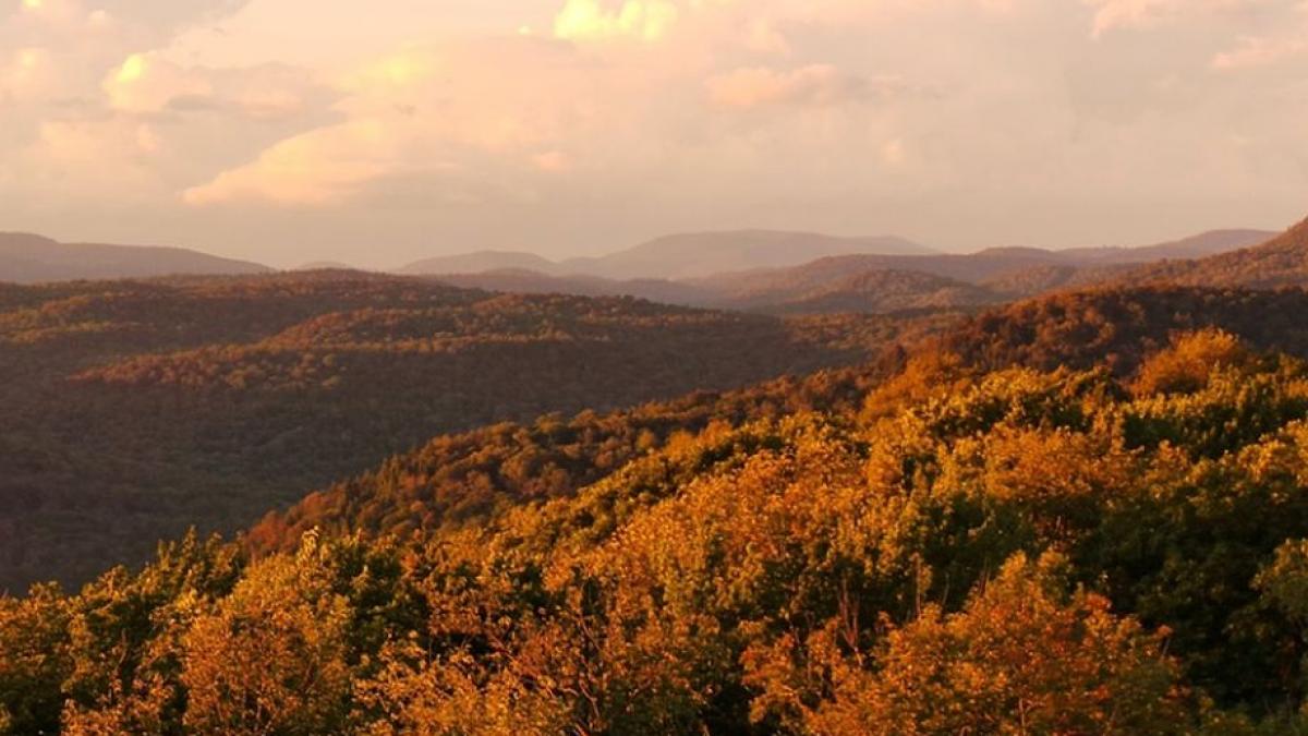 Transilvania i-a cucerit din nou pe străini. E în topul destinaţiilor de vacanţă din 2020