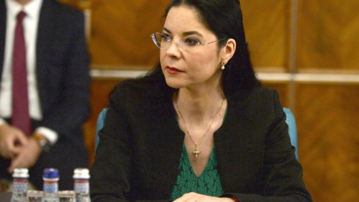 Fostul ministru Ana Birchall a demisionat din grupul PSD