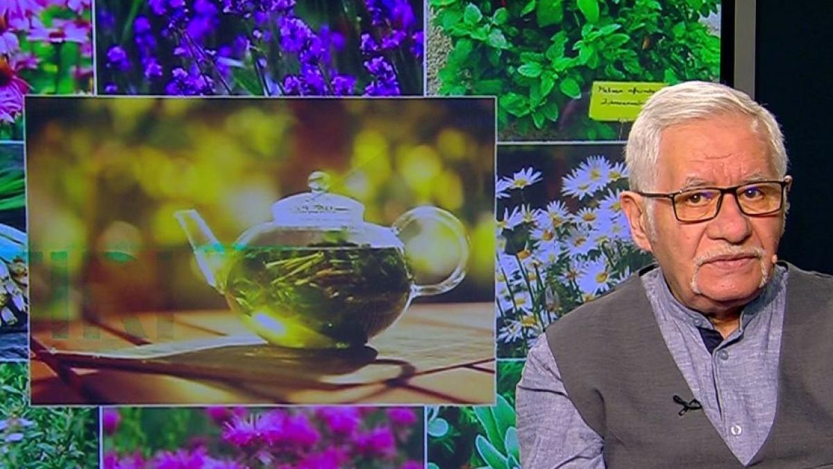 HOROSCOP. Magia Zilei, cu Mihai Voropchievici. Planta protectoare a zodiei Pești