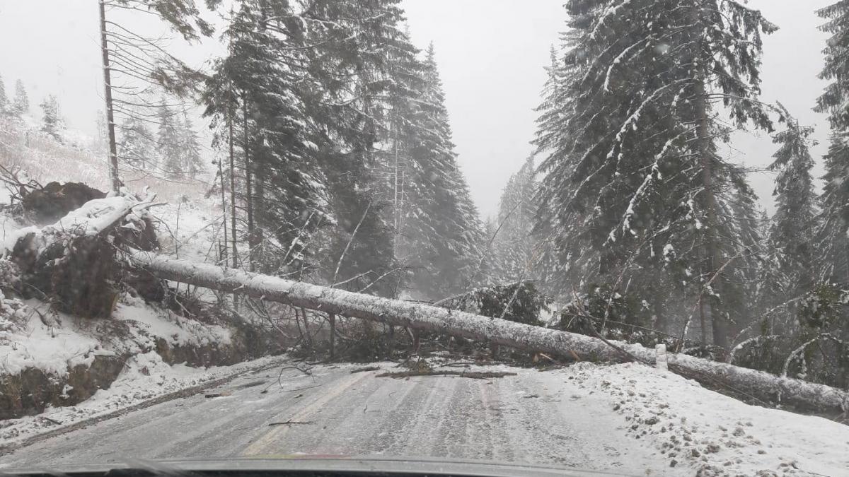 35 de copii şi 5 adulţi, blocaţi la Cota 1400 din Sinaia. Hotelul în care se află a rămas fără curent electric