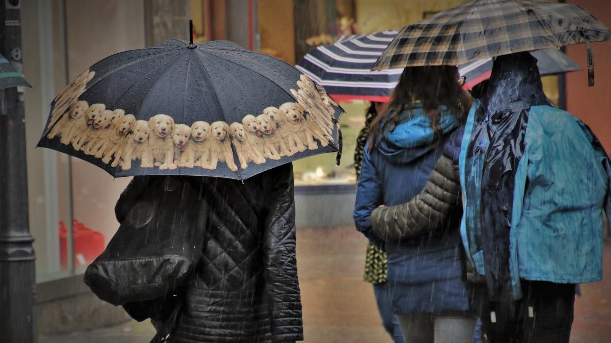 VREMEA. Prognoza meteo 11 februarie. Vremea se schimbă din nou. Anunț de ultimă oră de la meteorologi