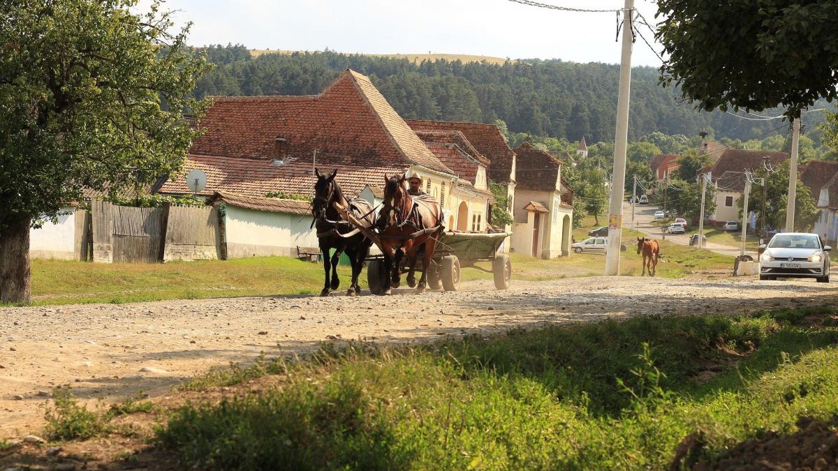 Bursă pentru tinerii care vor să rămână la sat